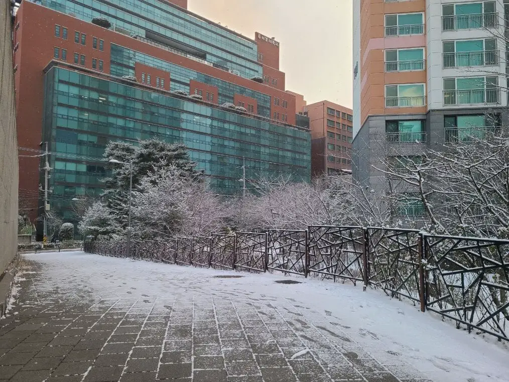 Una ligera nieve cubre el pavimento de la Universidad Sogang en Corea.