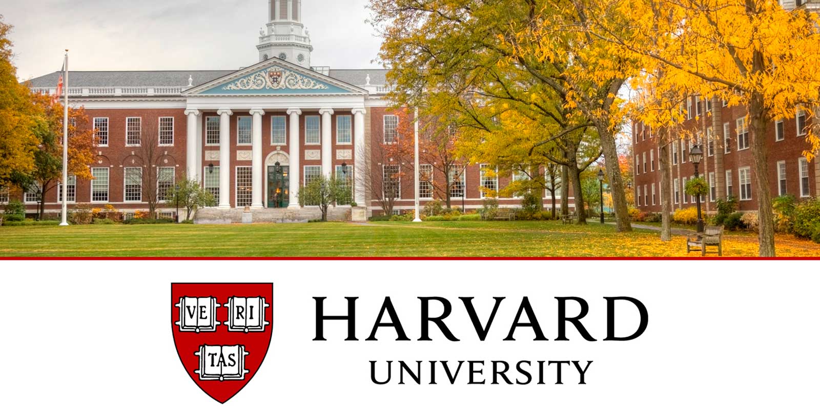 Becas para MBA en Harvard